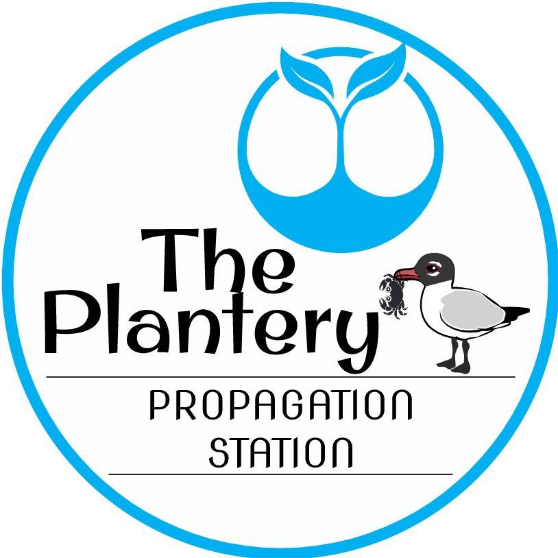 logo   color   The Plantery