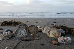 Handcrafted metal tokens discovered on Texas beach sand with coastal debris