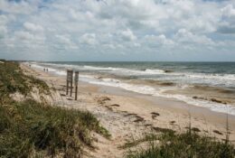 Galveston beach showing discolored water from red tide bloom with warning signs visible